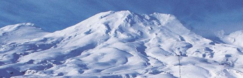 Pure Tūroa ski field granted decade-long DoC concession for Ruapehu